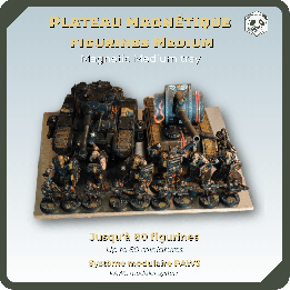 Medium Magnetic Miniature Tray – Secure Transport for 80 Minis | PAWS