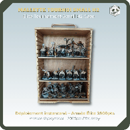 Mallette de transport figurines Small H2 – Tournoi & armée 2000 pts | PAWS