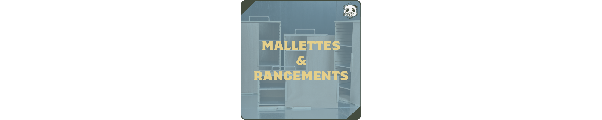 Mallettes et Rangements pour Figurines – Système PAWS | Panda’s Atelier